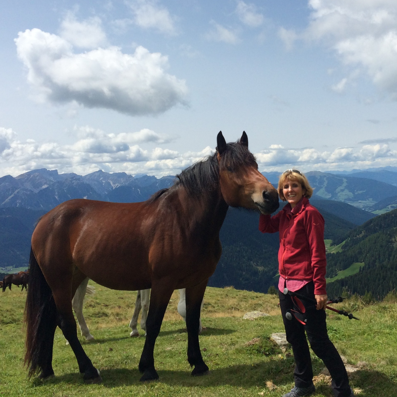 Waltraud Deeg mit einem Pferd